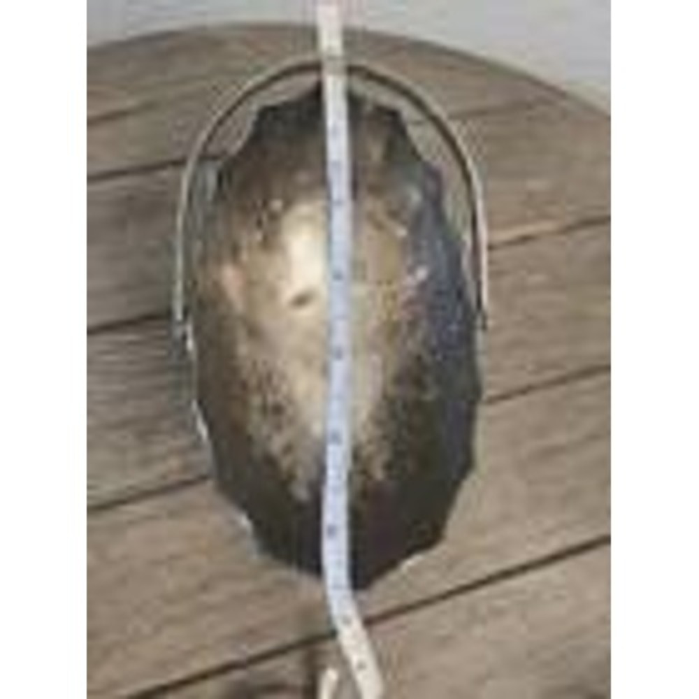 Vintage Silver Plated Oval Basket With Handle Floral Design Regal Victorian 6.5" - Picture 15 of 16